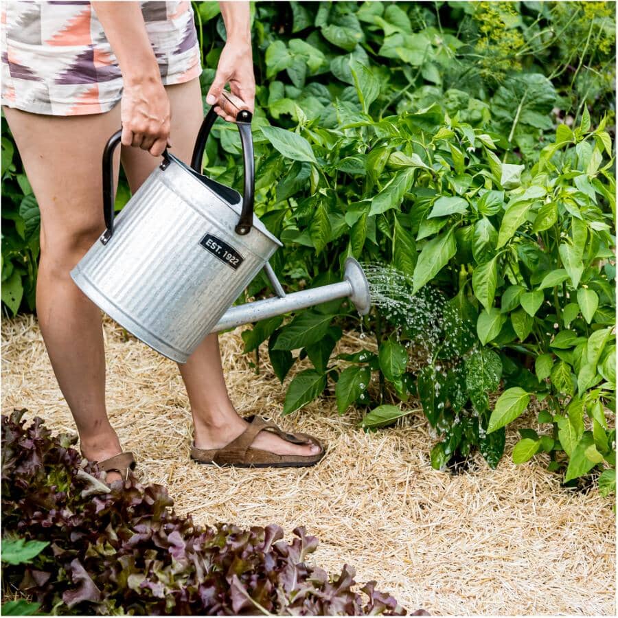0.5 Cu. Ft. GardenStraw Mini Premium Mulch