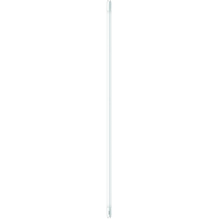 16W T8 Medium Bi-Pin Base Daylight InstantFit LED Light Bulb - 48"