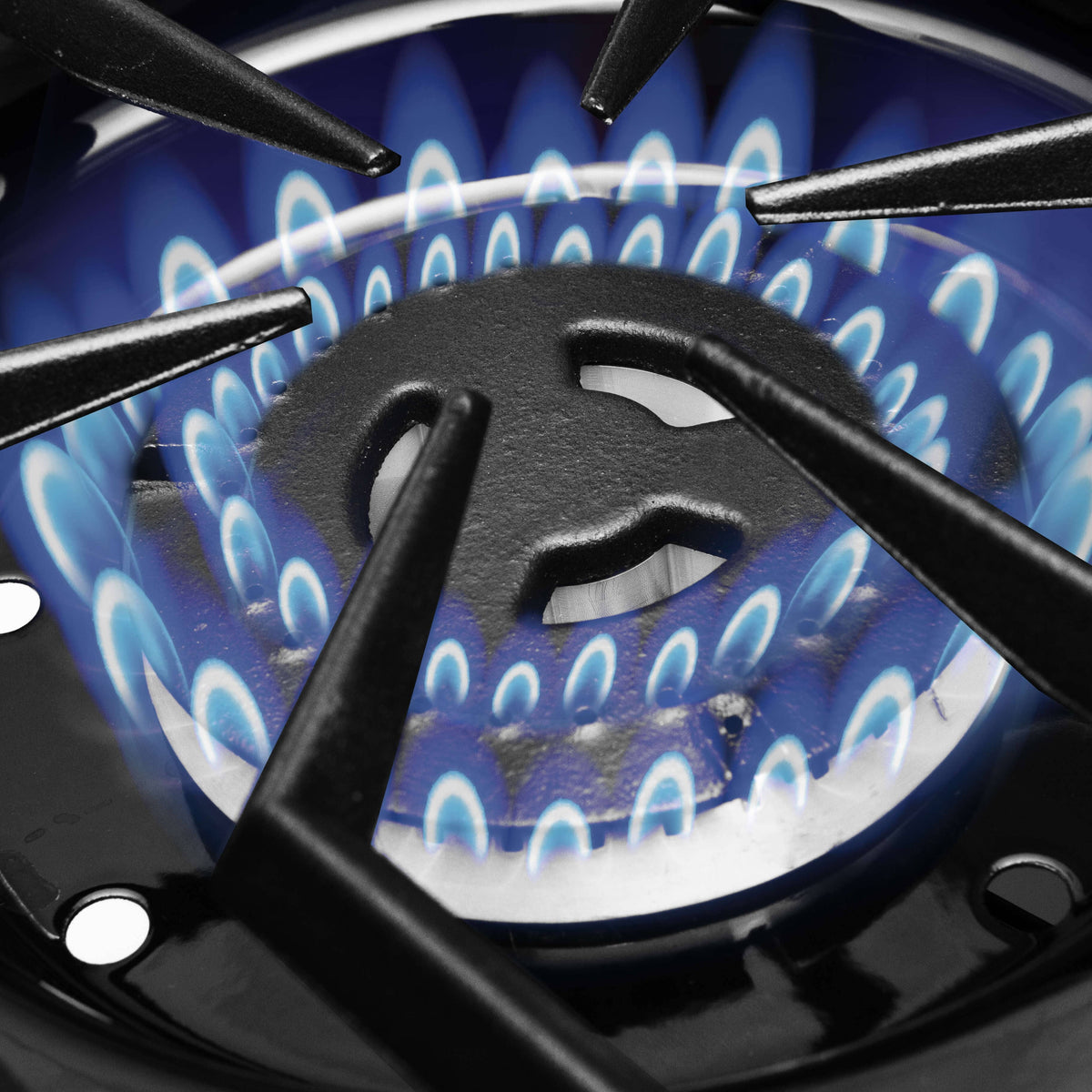Regal S590 Pro Propane BBQ - 5 Burner + Side & Rear Rotisserie Burners