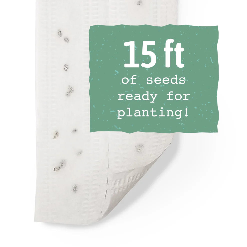 Scarlet Nantes Carrot Seeds - Seed Tape
