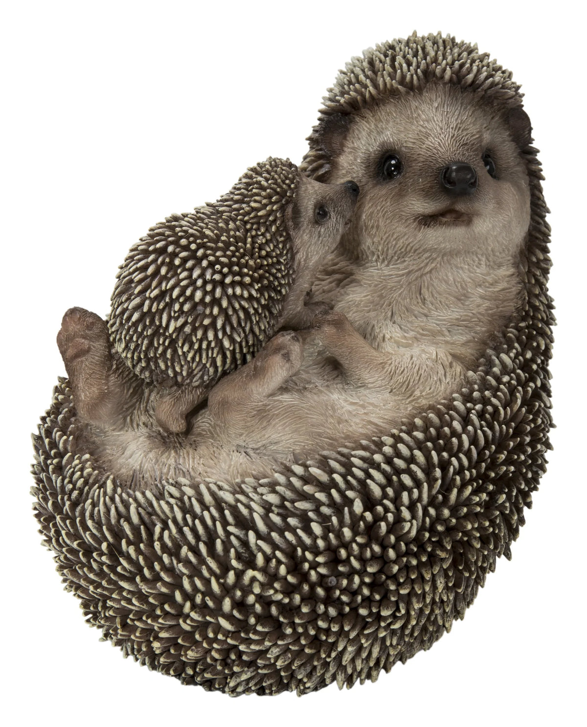 Mother & Baby Hedgehogs On Back