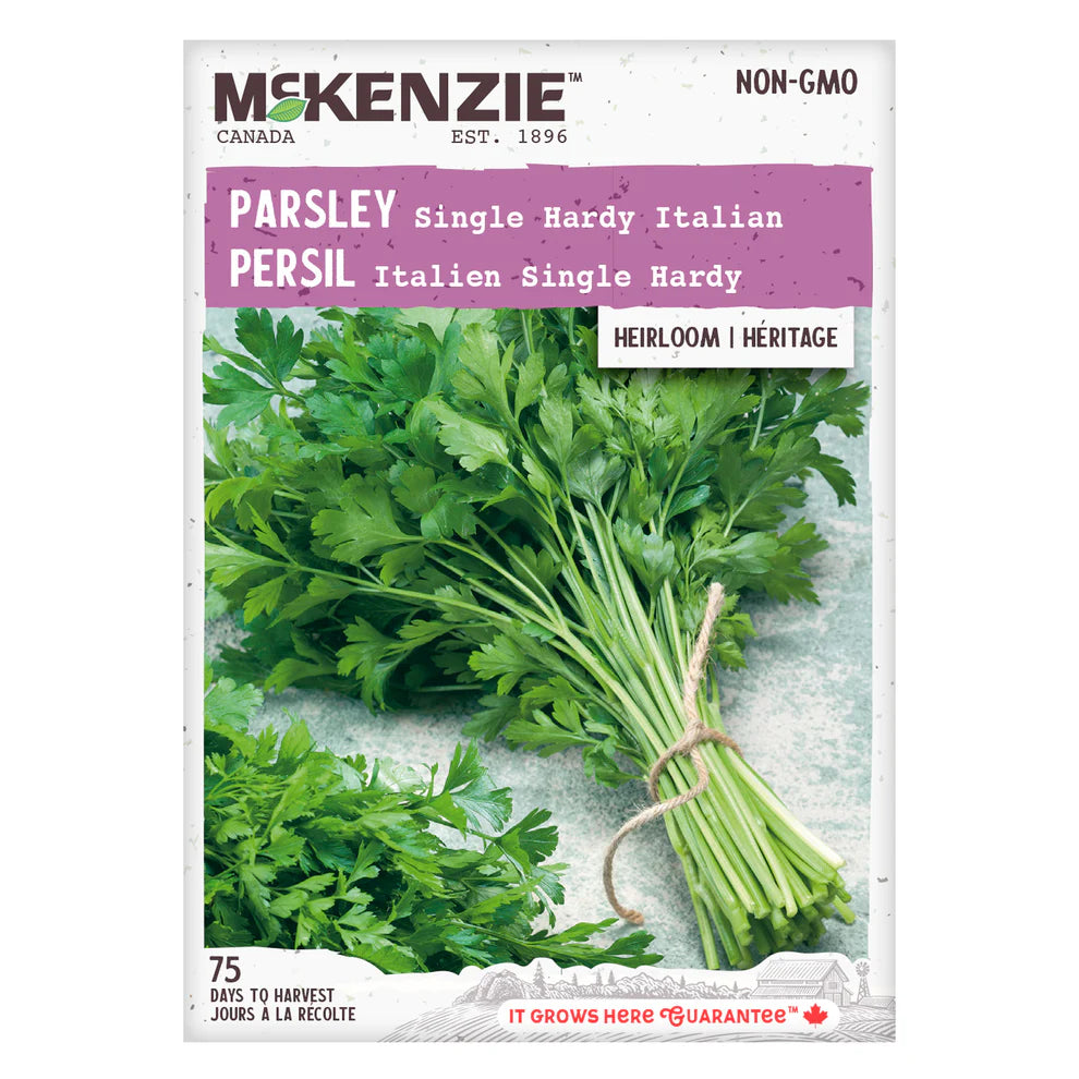 Single Hardy Italian Parsley Seeds