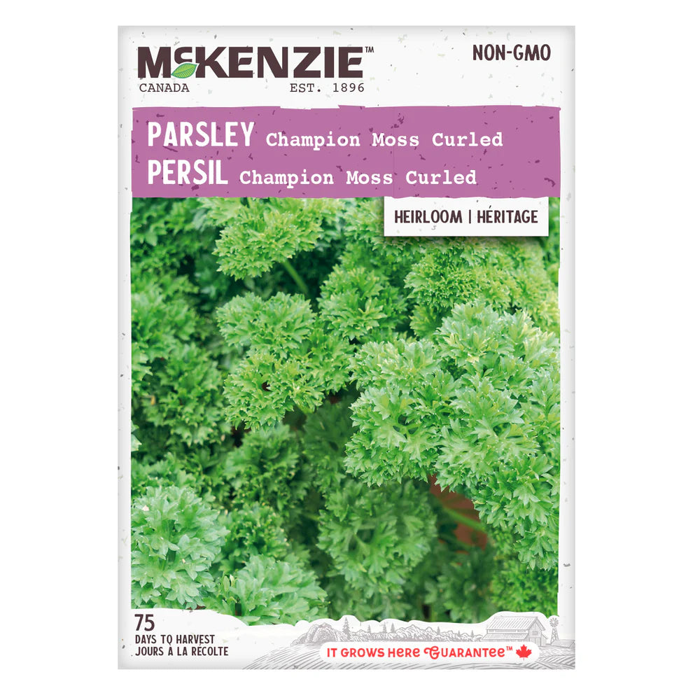 Champion Moss Curled Parsley Seeds