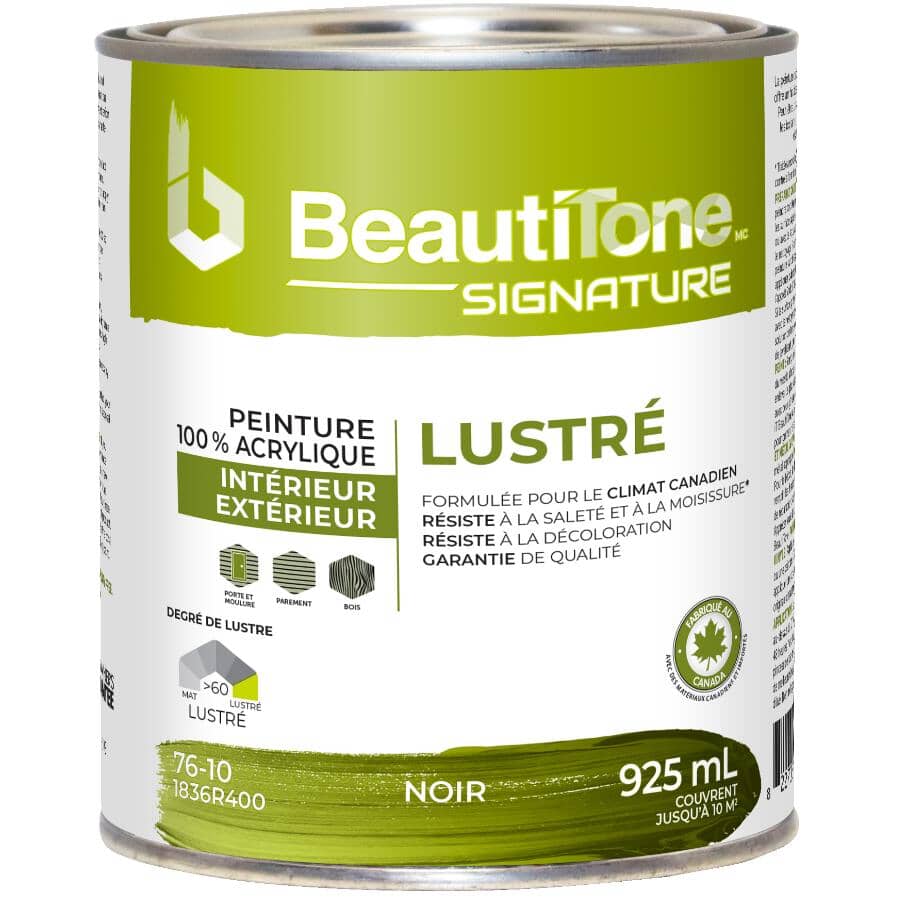 Interior / Exterior Acrylic Latex Gloss Paint - Black, 925 ml