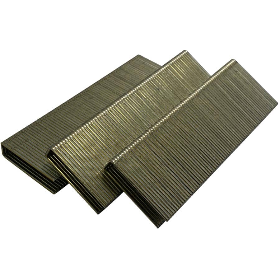 1-1/2" 16 Gauge Medium Crown Staples - 10,000 Pack
