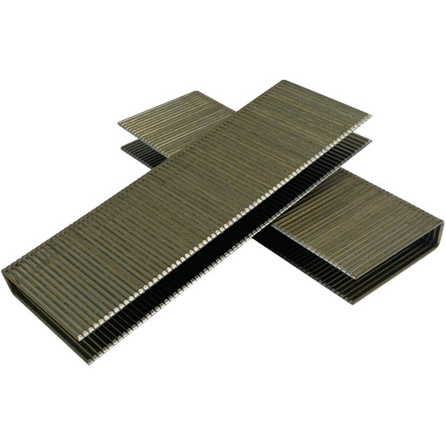 1-1/2" 16 Gauge Medium Crown Staples - 10,000 Pack