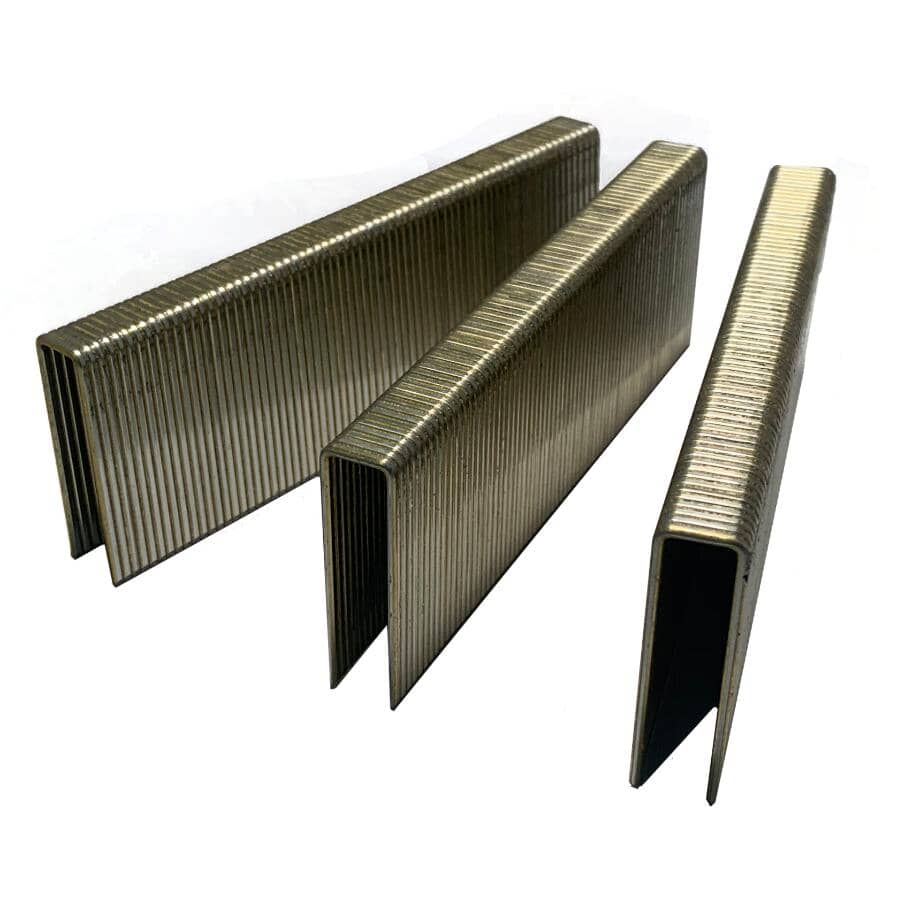 1-1/2" 16 Gauge Medium Crown Staples - 10,000 Pack