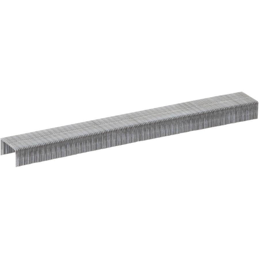 1/4" Staples - for P22 Stapler, 5000 Pack