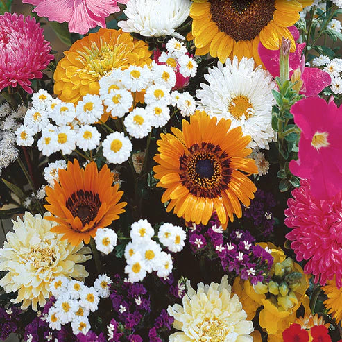 Flower Garden Old Fashioned Seeds - Value Size