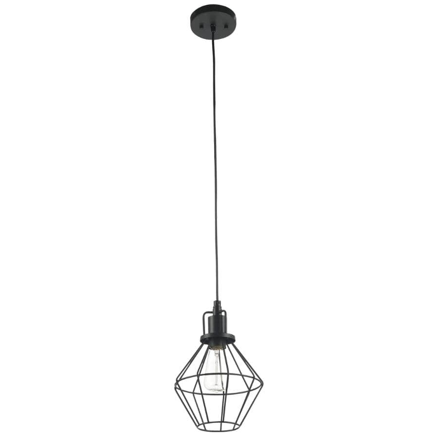 Baldwin Pendant Light Fixture - Matte Black with Hardwire Cage