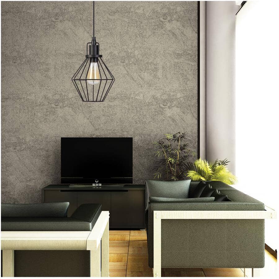 Baldwin Pendant Light Fixture - Matte Black with Hardwire Cage
