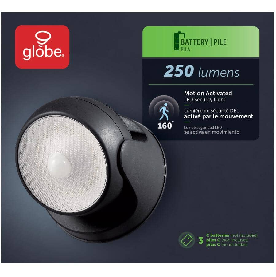 Dusk to Dawn Motion LED Orb Security Light - Black, 250 Lumens