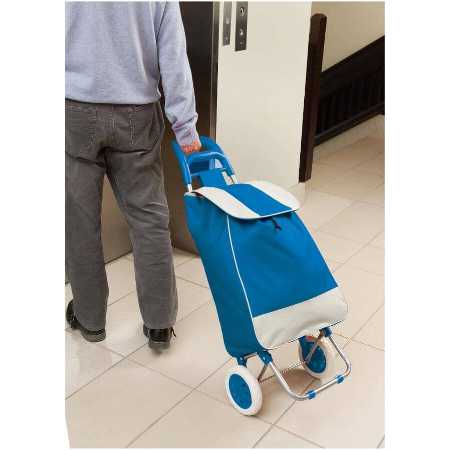 2-Wheel Foldable Shopping Cart with Bag - Blue & Grey, 37" x 13.5" x 10.5"