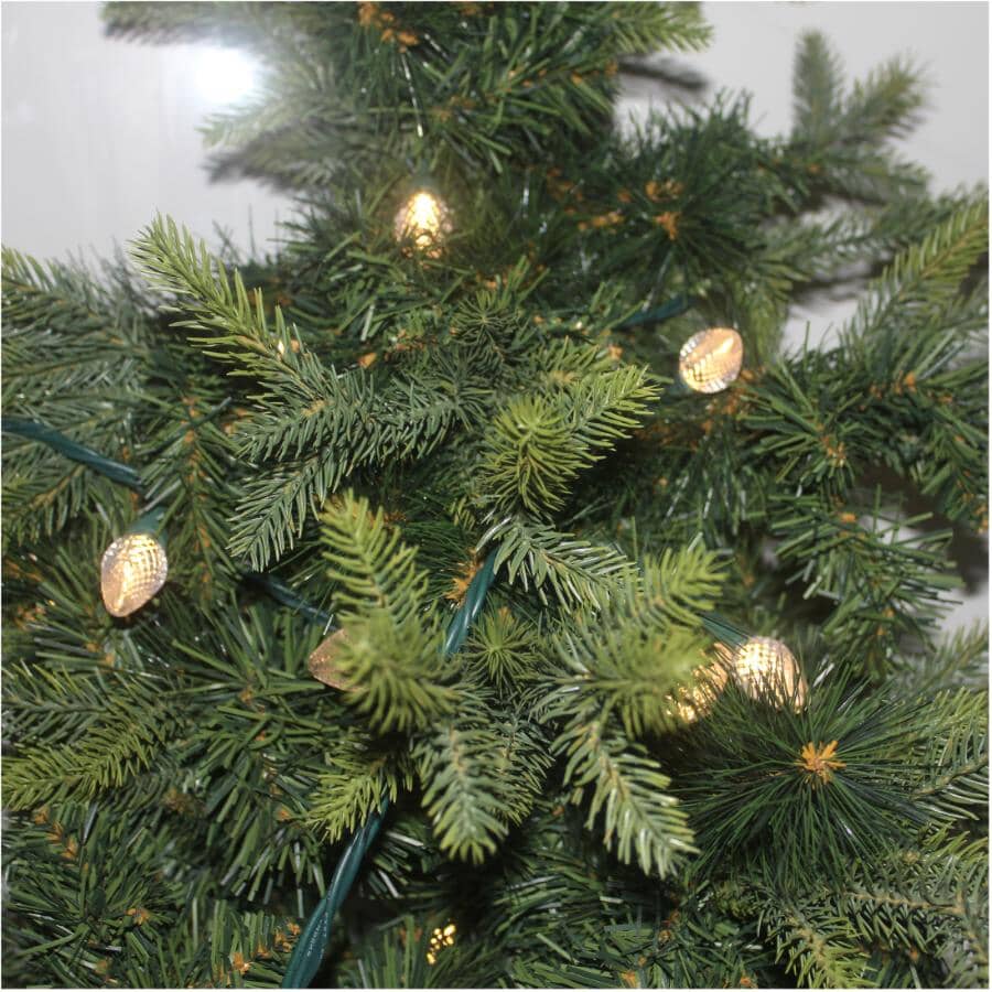 C7 Light Set with Green Wire - Warm White, 50 LEDs