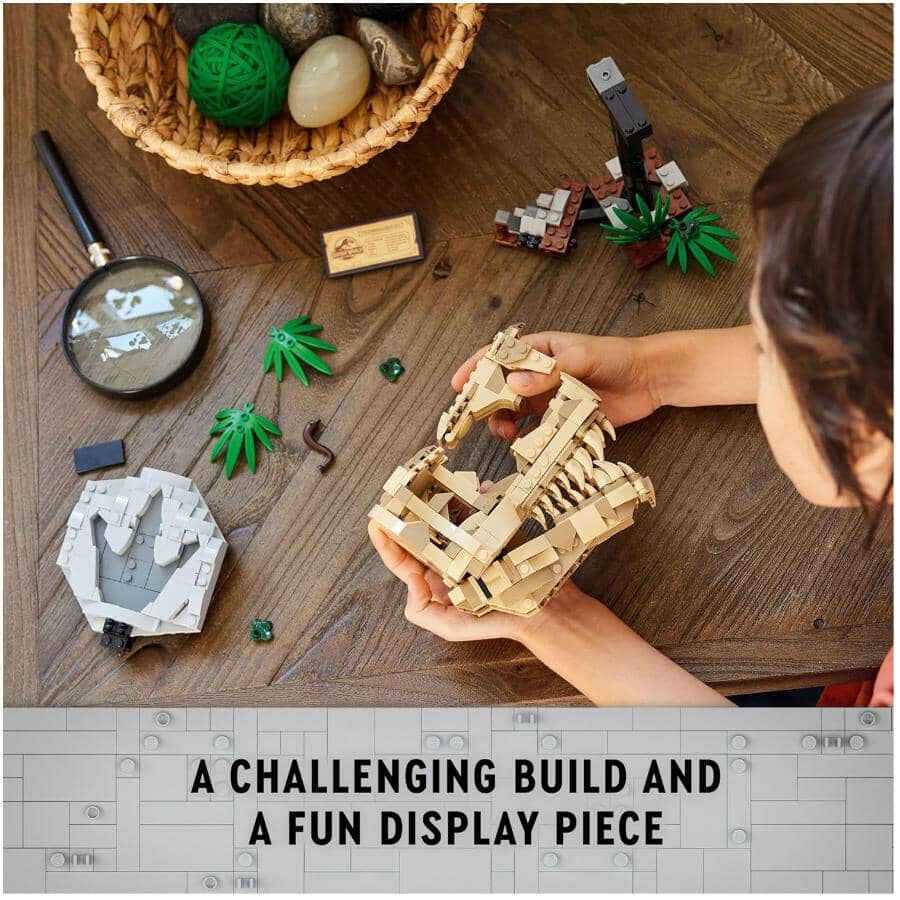 Dinosaur Fossils: T.Rex Skull Building Set - 577 Pieces