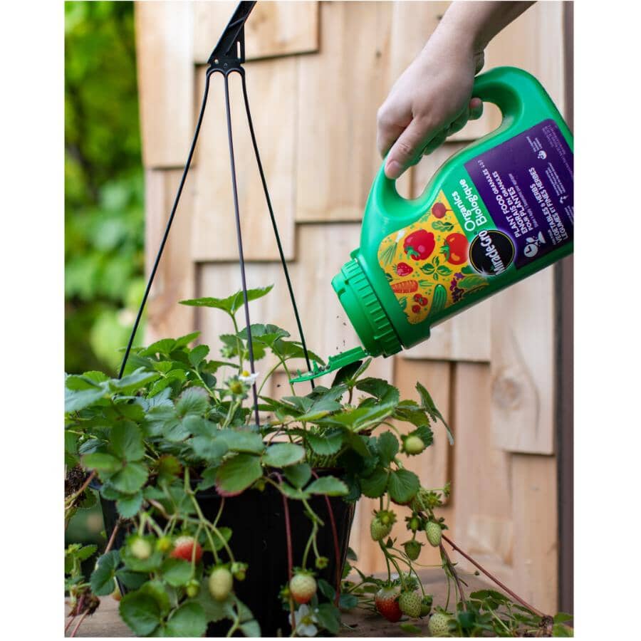 Organics Plant Food Granules for Vegetables & Herbs Fertilizer - 1.58 kg