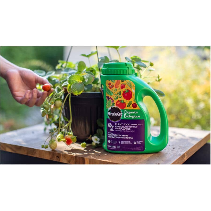 Organics Plant Food Granules for Vegetables & Herbs Fertilizer - 1.58 kg