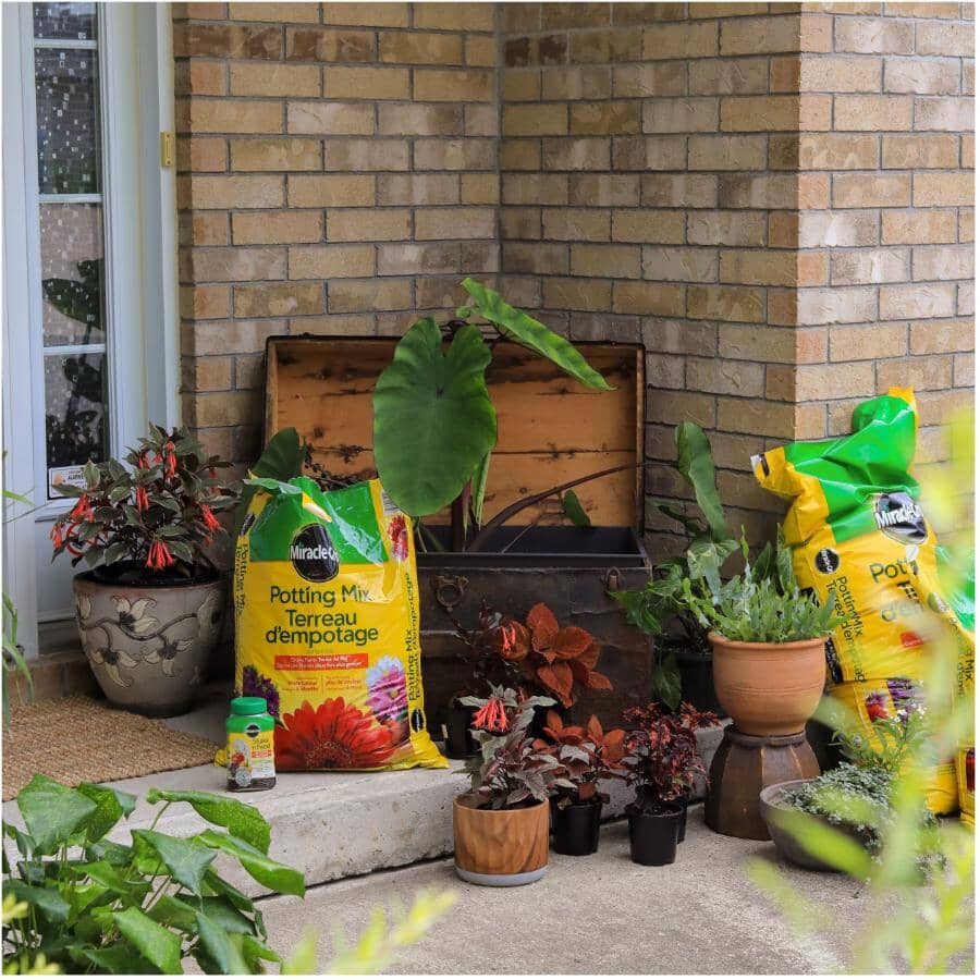 Potting Soil Mix - 50 L