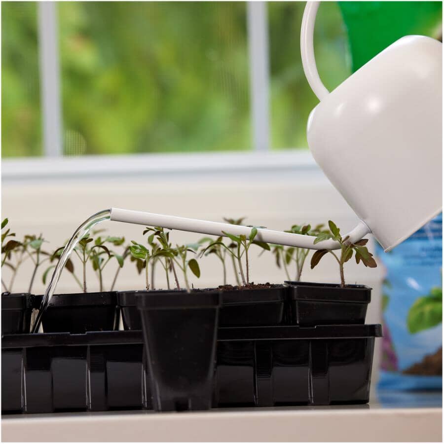 Seed Starting Plant Food - 1-0.5-1, 236 ml