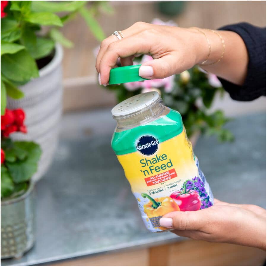 Shake 'n Feed All Purpose Plant Food - 453g