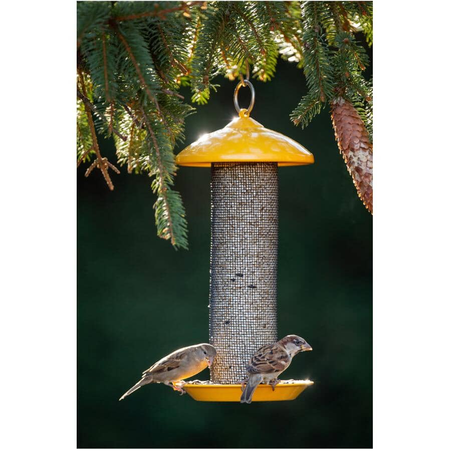 13" Finch Screen Bird Feeder - Yellow, 1.6 lb Capacity