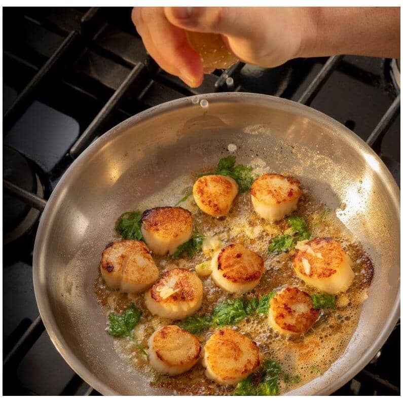 Tri-Ply Clad Stainless Steel Frypan - 11"/28 cm