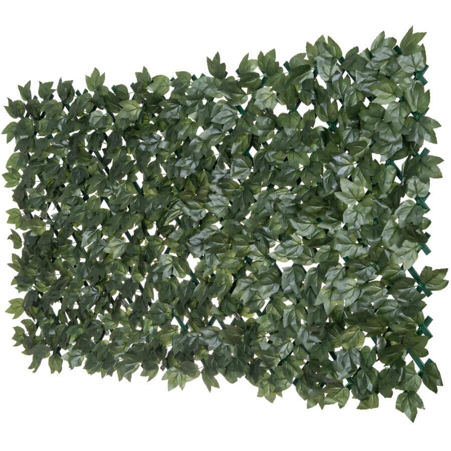 Expandable PVC Trellis with Ivy Leaf - 36" x 72"