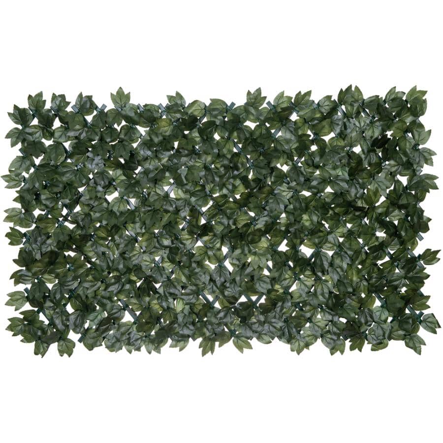 Expandable PVC Trellis with Ivy Leaf - 36" x 72"