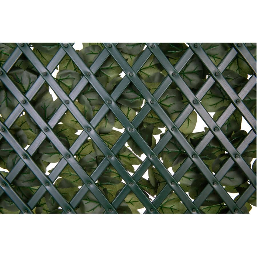 Expandable PVC Trellis with Ivy Leaf - 36" x 72"