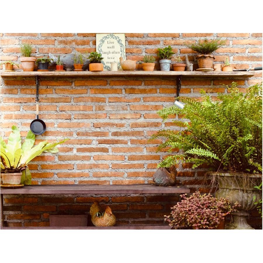 8" Decorative Scroll Shelf Bracket - Black