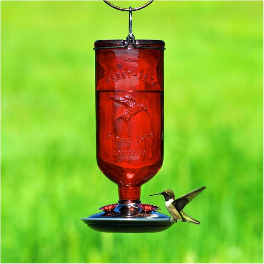 Antique Glass Bottle Hummingbird Feeder - Red, 16 oz