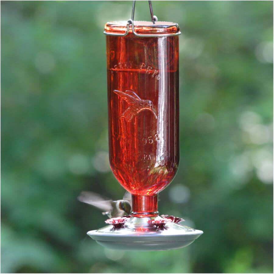 Antique Glass Bottle Hummingbird Feeder - Red, 16 oz