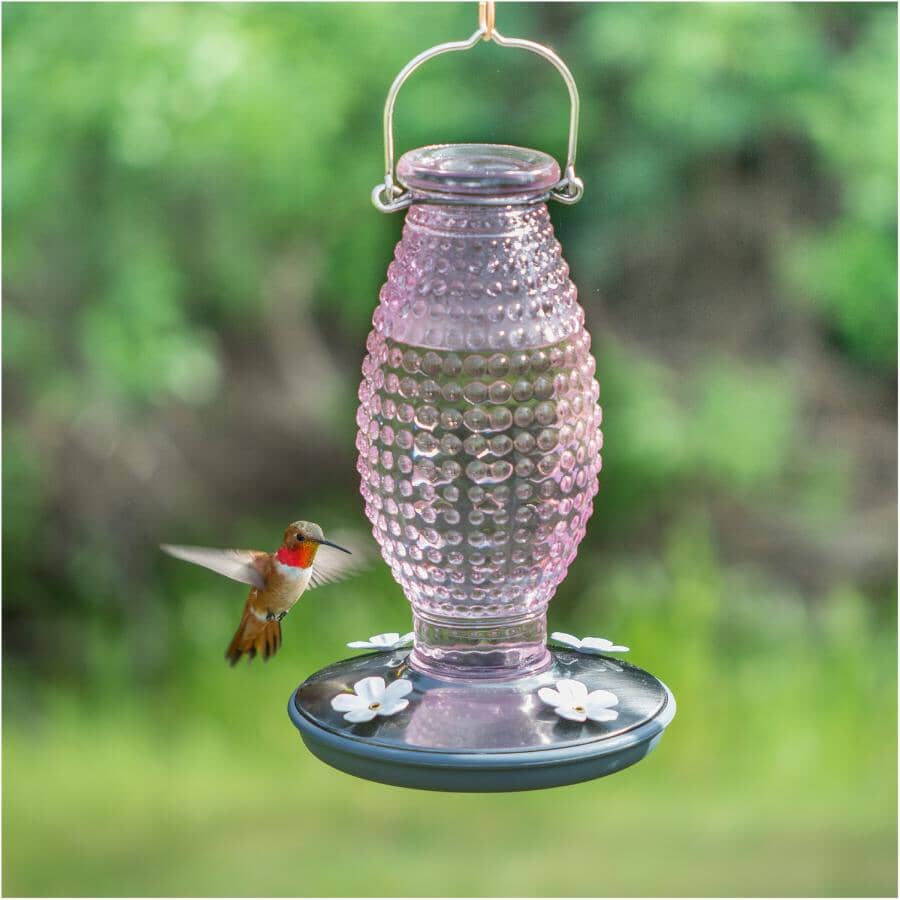 Hobnail Vintage Glass Hummingbird Feeder - Cranberry, 16 oz