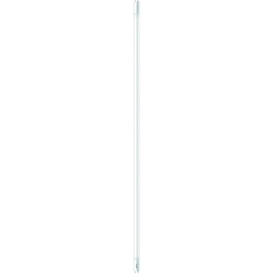 16W T8 Medium Bi-Pin Base Cool White InstantFit LED Light Bulb - 48"