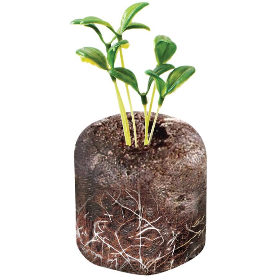 Coconut Fiber Grow Pellets - 20 Pack