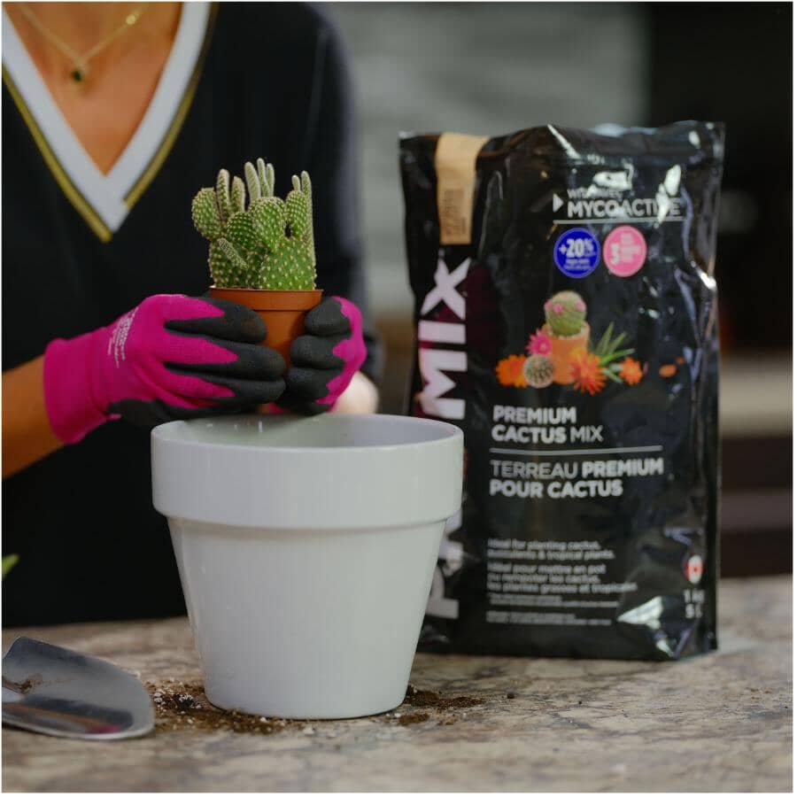 Premium Cactus Plant Mix - 5 L