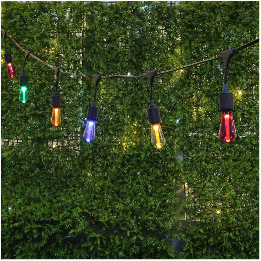S10 Drop Socket Light Set with Black Wire - Multi-Colour, 10 Lights