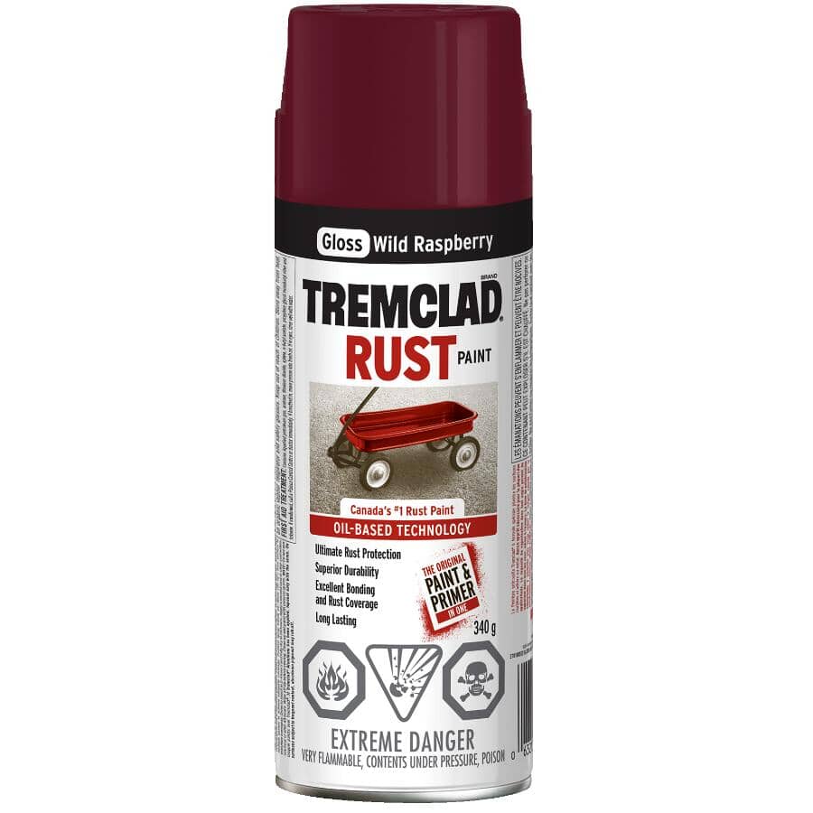 Rust Spray Paint - Gloss Wild Raspberry, 340 g