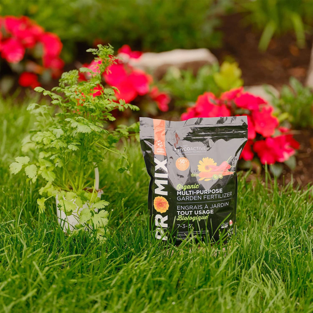 1.5kg 7-3-3 Multi Purpose Plant Fertilizer