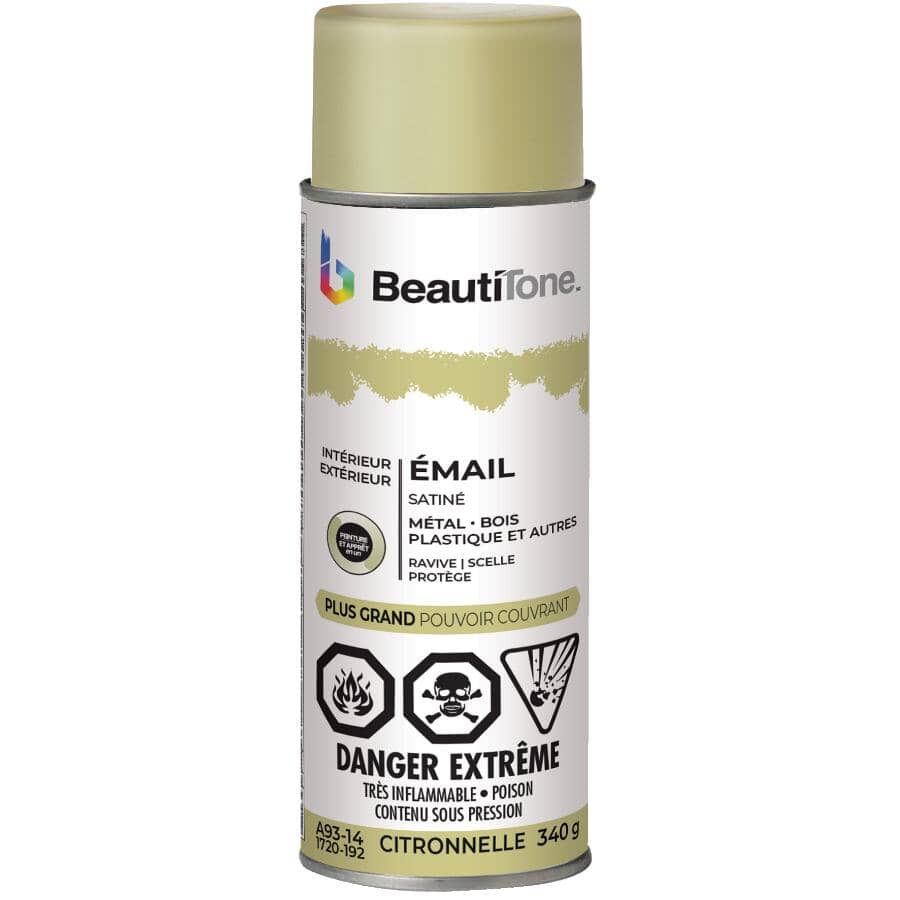 Enamel Interior / Exterior Spray Paint - Satin Lemon Grass, 340 g