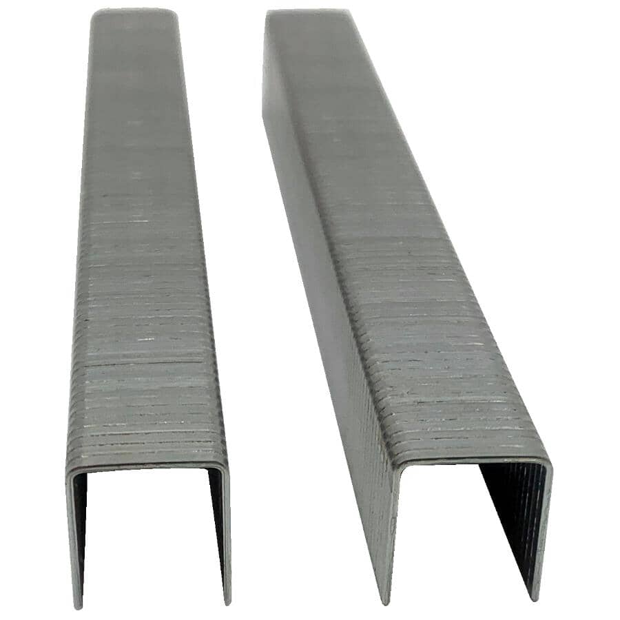 1/4" A11 Staples - for T50 Stapler, 1000 Pack
