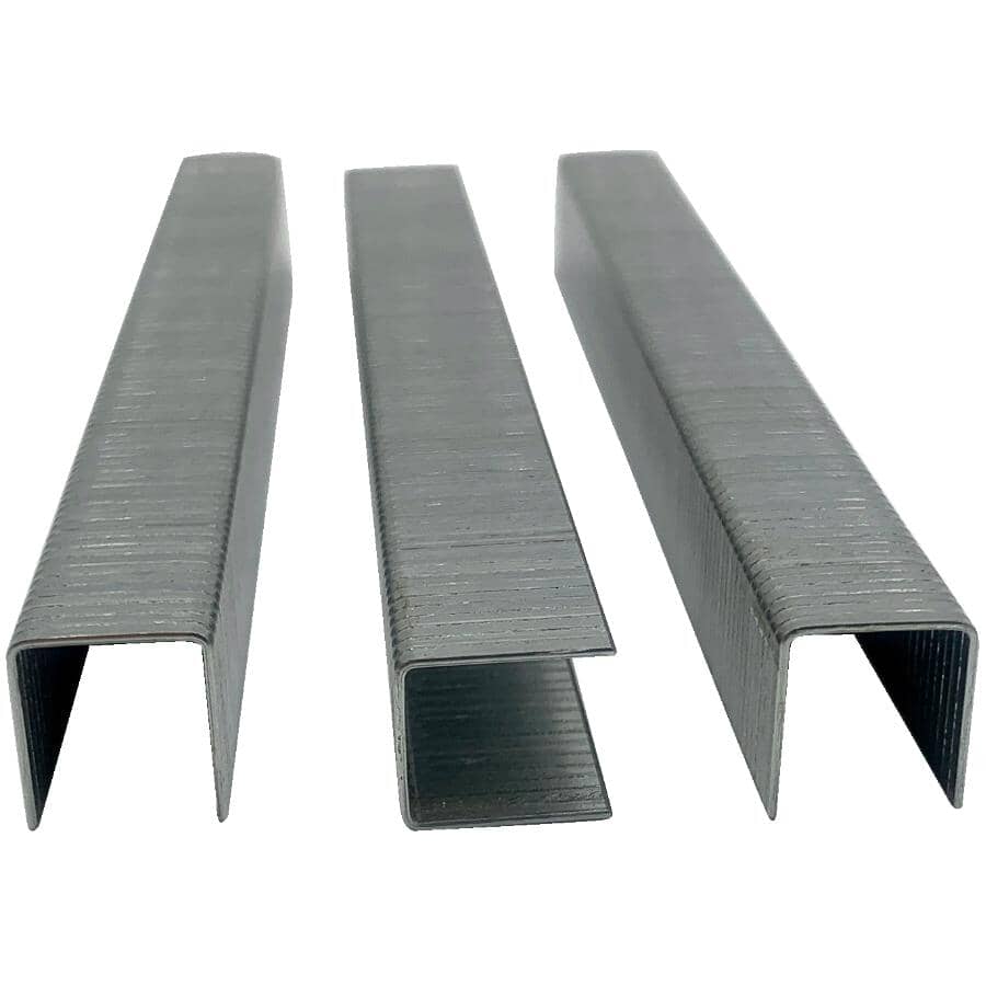 1/4" A11 Staples - for T50 Stapler, 1000 Pack