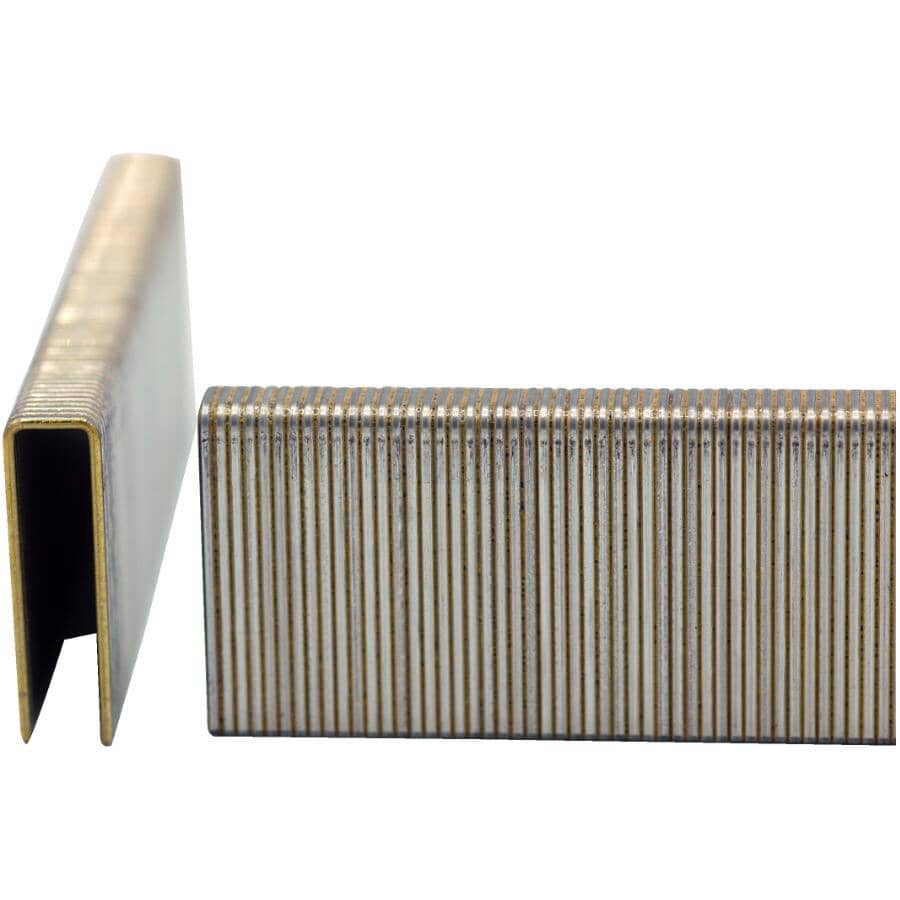 2" 15.5 Gauge Flooring Staples - 5000 Pack