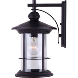 Treehouse Outdoor Downward Coach Light Fixture - Oil Rubbed Bronze with Clear Glass, 14-1/4''