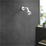 3 Setting Wall Mount Showerhead - White
