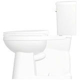 4.8 L Artisan Elongated Toilet - 17", White