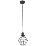 Baldwin Pendant Light Fixture - Matte Black with Hardwire Cage