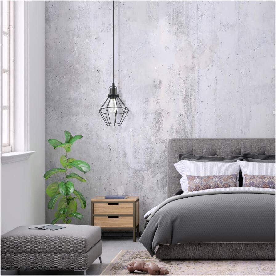 Baldwin Pendant Light Fixture - Matte Black with Hardwire Cage