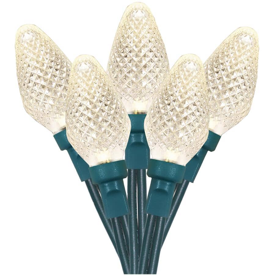 C7 Light Set with Green Wire - Warm White, 50 LEDs