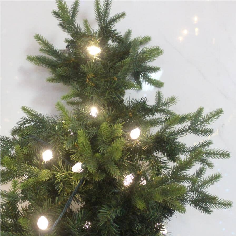 C7 Light Set with Green Wire - Warm White, 50 LEDs